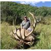 Image 2 : 4-day Colorado Trophy Rocky Mountain Elk Hunt for One Hunter