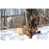 Image 2 : 3-day Idaho Elk Hunt for One Hunter and One Observer