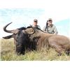 Image 2 : 10-day South African Plains Game Hunt for One Hunter and One Observer