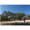Image 2 : 2-day Texas Quail, Pheasant and Chukar hunt for Two Hunters and Two Observers