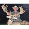 Image 2 : 5-day Ohio Northeastern White-Tailed Deer Hunt for Two Hunters and Two Observers