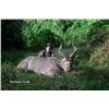 Image 2 : 18-day Ethiopian Spiral Horned Antelope Safari for One Hunter and One Observer
