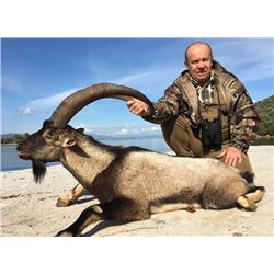 5-day Greece Kri Kri Ibex Hunt for One Hunter and One Observer