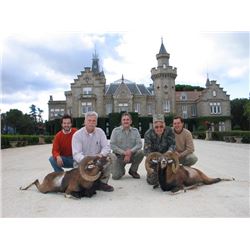 5-day Spain with Choice of Species Hunt for Two Hunters and Two Observers