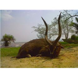 10-day Uganda Ssese Island Sitatunga Hunt for One Hunter and One Observer