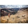 Image 2 : 3-day Idaho Cast-and-Blast Adventure for Two People