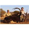 Image 1 : 7-day South Africa Sable Hunt for Two Hunters