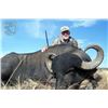 Image 2 : 6-day Argentina Red Deer, Water Buffalo and two Blackbuck for Two Hunters