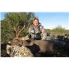 Image 2 : 5-day Spain Roe Deer or Chamois Hunt for One Hunter and One Observer
