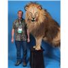 Image 1 : $6,000.00 Custom Taxidermy Work