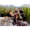 Image 2 : 5-day Spain Gold Beceite Ibex Hunt for One Hunter and One Observer.