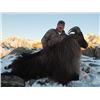 Image 2 : 5-day New Zealand Free-ranging Tahr Hunt for Two Hunters