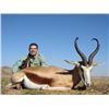 Image 2 : 7-day South African Springbok Slam Hunt for One Hunter and One Observer