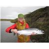 Image 1 : 5-day Alaska Salmon, Trout and Char Fishing Trip for One Angler
