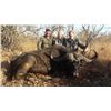 Image 2 : 7-day South Africa Cape Buffalo and Plains Game Hunt for Two Hunters