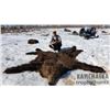 Image 2 : 8-day Kamchatka Brown Bear Hunt for One Hunter