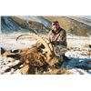 Image 2 : 9-Day Tajikistan Mid-Asian Ibex for One Hunter