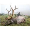 Image 2 : 7-day Mongolian Altai Wapiti Hunt for One Hunter