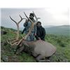 Image 3 : 7-day Mongolian Altai Wapiti Hunt for One Hunter