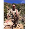 Image 2 : 5-day Spain Ronda Ibex Hunt for One Hunter and One Observer