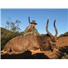 Image 2 : 7-day/8-night South Africa Kudu, Nyala and Bushbuck Hunt for One Hunter and One Observer