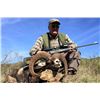 Image 1 : 5-day Spain Iberian Mouflon Hunt for One Hunter and One Observer
