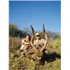 Image 2 : 10-day South Africa Sable and Nyala Hunt for Two Hunters