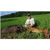 Image 1 : 5-day Italy Wild Boar Hunt for Four Hunters and Four Observers