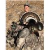 Image 2 : 9-Day Ocellated and Gould's Turkey Hunt for Two Hunters