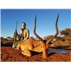 Image 2 : 10-Day South Africa Plains Game Safari for Two Hunters and Two Observers