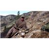 Image 2 : 6-day Utah Archery Rocky Mountain Elk, Cow Elk and Mule Deer Hunt for One Hunter and One Observer