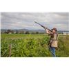 Image 2 : 4-day Argentina Dove Hunt for Eight Hunters
