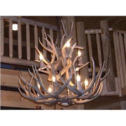 Mule Deer Antler Chandelier