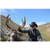 Image 2 : 7-day British Columbia Mule Deer Hunt for One Hunter