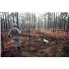 Image 2 : 2 1/2-day Georgia Bobwhite Quail Hunt for Two Hunters