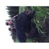 Image 2 : 6-day Luxury Yacht Alaska Black Bear Hunt, Swarovski Optics, Stone Glacier Gear and Ruger Firearm Pa