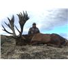 Image 2 : 6-Night/5-Day Argentina Big Game Safari for Two Hunters and Two Observers