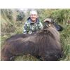 Image 2 : 5-day New Zealand Red Deer up to 500 and Tahr Hunt for Two Hunters and Two Observers