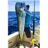 Image 2 : 6-day/7-night Panama Blue Water Fishing Trip for Two Anglers
