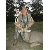 Image 2 : 4-day Michigan Whitetail Hunt for One Hunter and One Observer