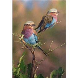 Acrylic on Belgian Linen