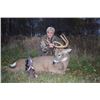 Image 1 : 4-day Northeastern White-tailed Deer Hunt for One Hunter and One Observer