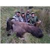 Image 1 : 5-day New Zealand Tahr Hunt for Two Hunters