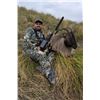 Image 2 : 5-day New Zealand Tahr Hunt for Two Hunters