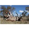 Image 1 : 7-day South Africa Hunt with with $1,000 Credit for Four Hunters and Four Observers