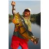 Image 1 : 6 1/2-day Amazon Peacock Bass Adventure for One Angler