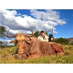 TAM SAFARIS 5-Day, 1:1 Trophy Golden Wildebeest Hunt for 1 Hunter and 1 Non-Hunter