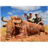 Image 2 : TAM SAFARIS 5-Day, 1:1 Trophy Golden Wildebeest Hunt for 1 Hunter and 1 Non-Hunter
