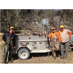 JOSHUA CREEK RANCH 3-Day Upland Bird Hunt in Texas for 2 Hunters and 2 Non-Hunters