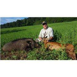 ITALIAN SAFARIS SRL 2-Day Wild Boar Hunt in Italy for 2 Hunters and 2 Non-Hunters